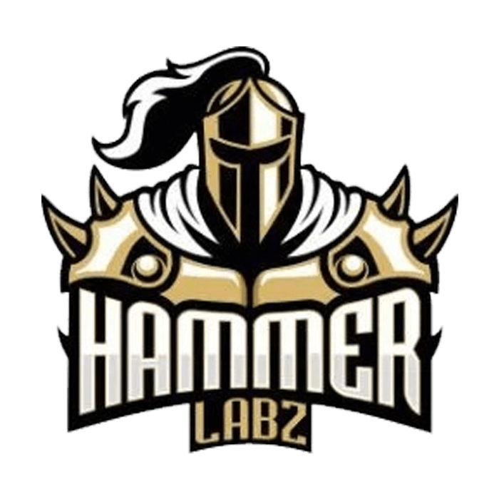 Hammer Labz