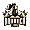 Hammer Labz